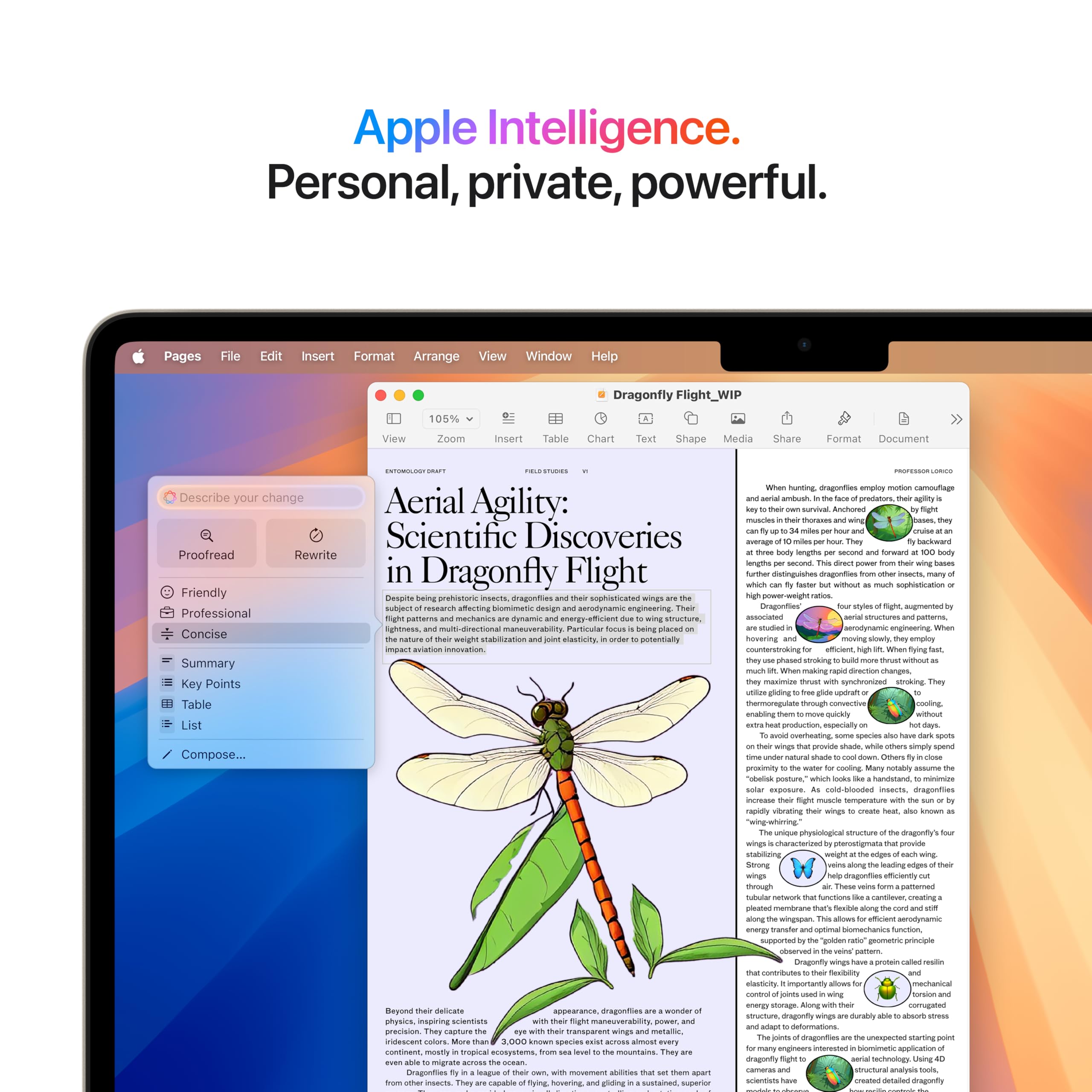 Apple 2025 MacBook Air 13-inch Laptop with M4